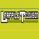 Jeff Leibowitz Leaf Pile TV